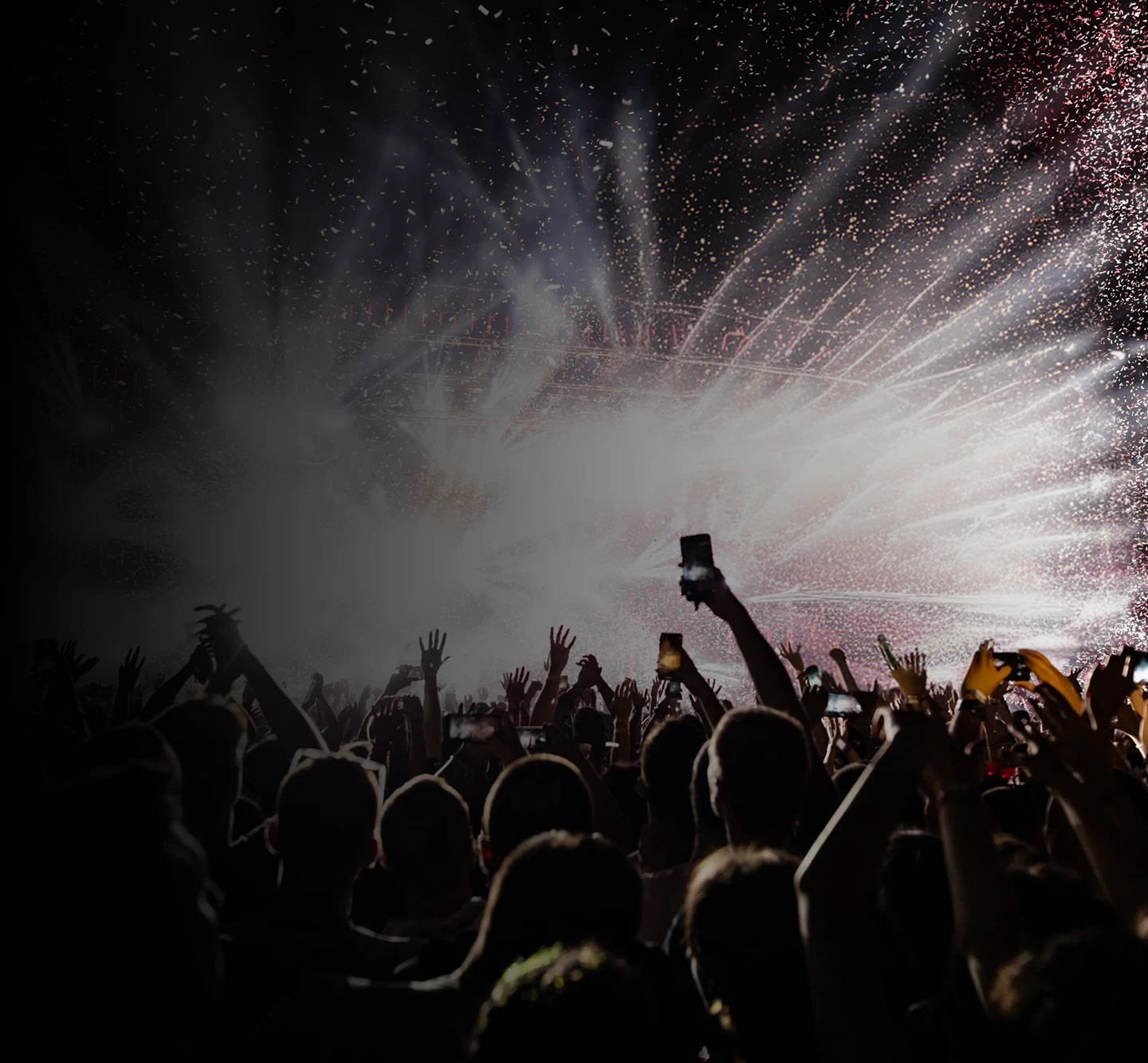 Concert Crowd
